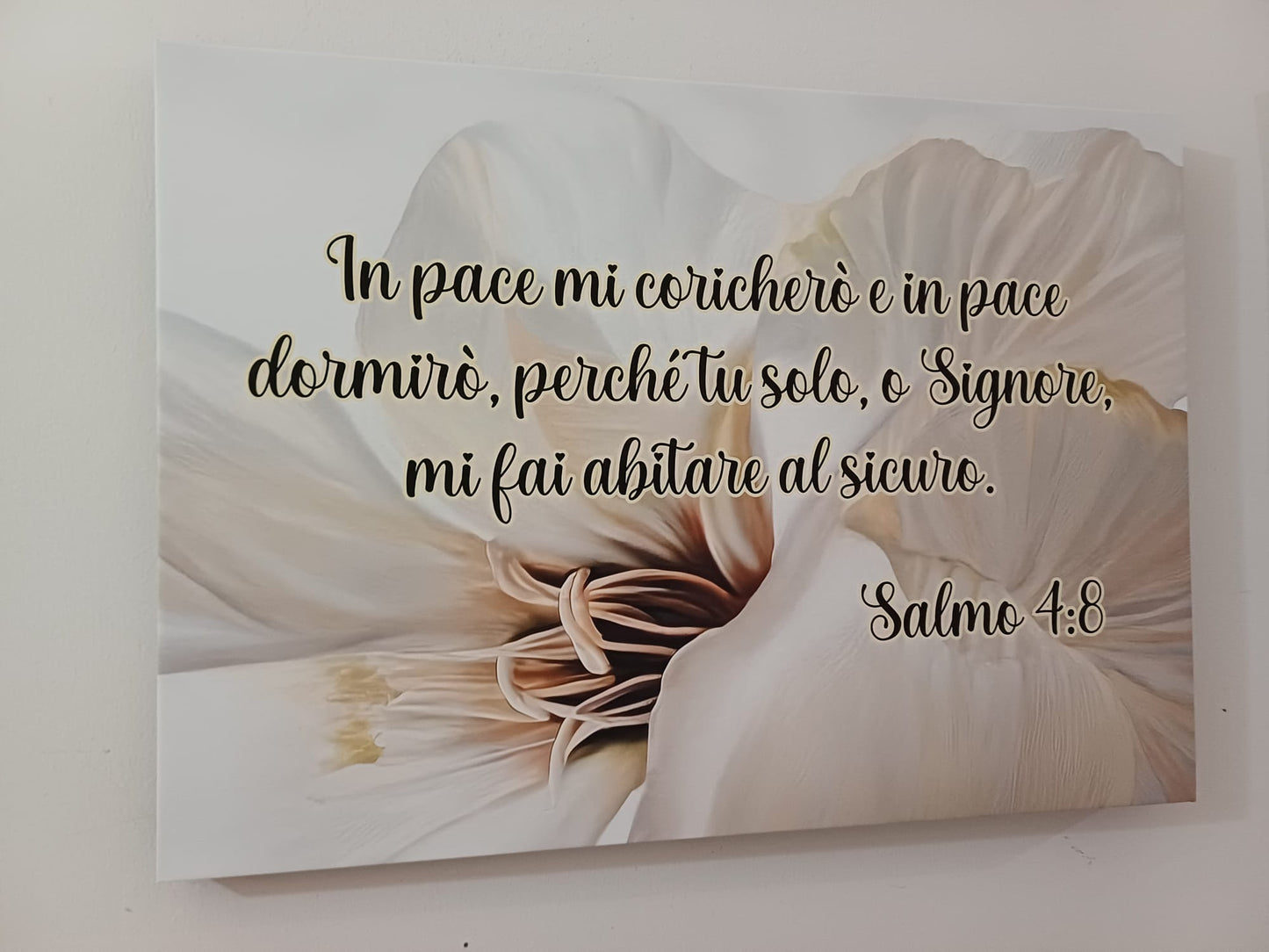 Stampa su tela Salmo 4:8